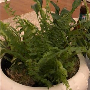 Meet your Posher, Emmy